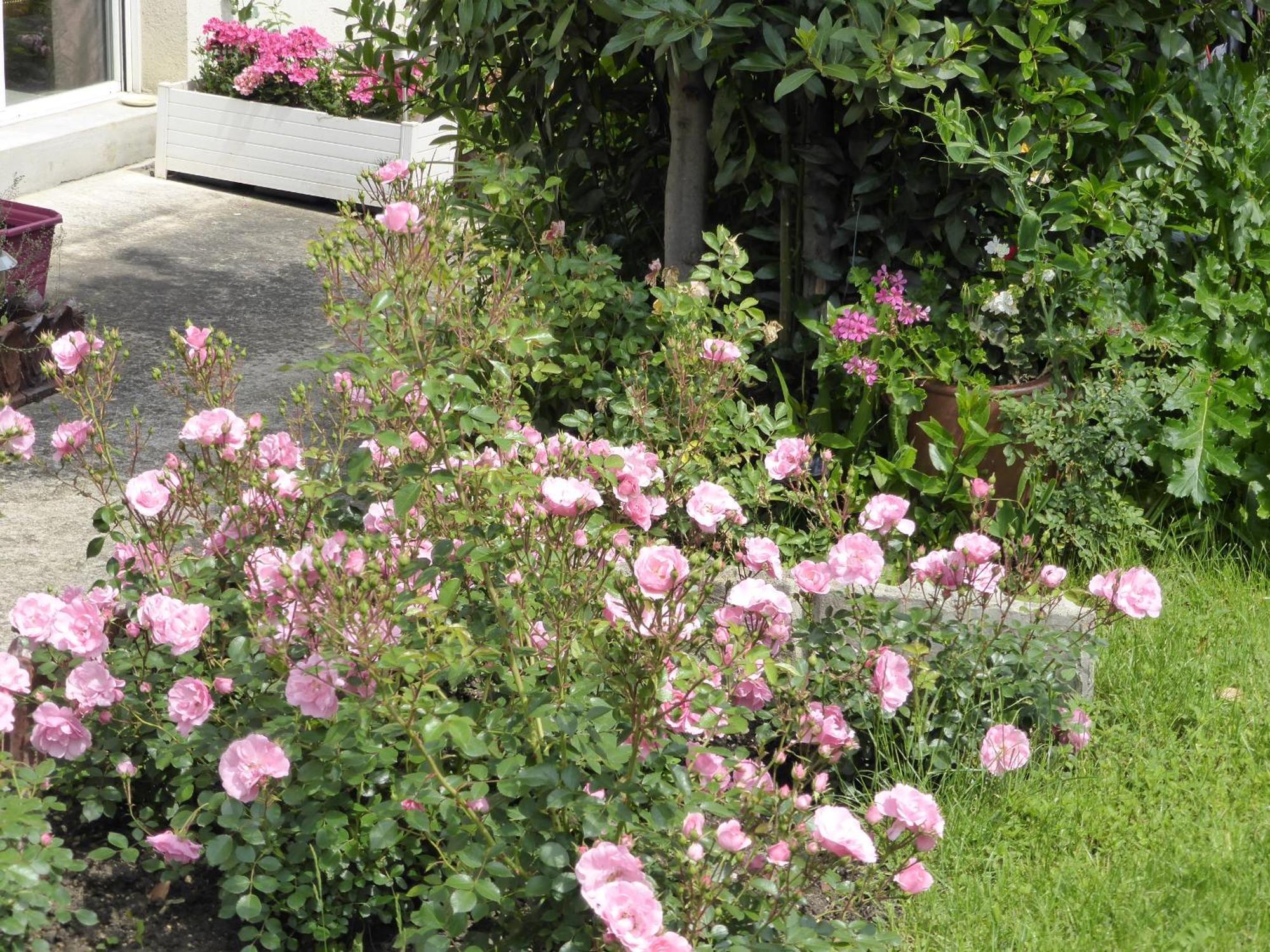 Une Chambre A Neuilly Guest House Екстериор снимка